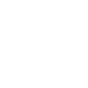 Eleven Icon